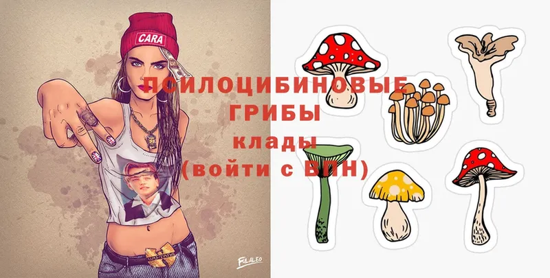 Псилоцибиновые грибы Magic Shrooms  Электросталь 